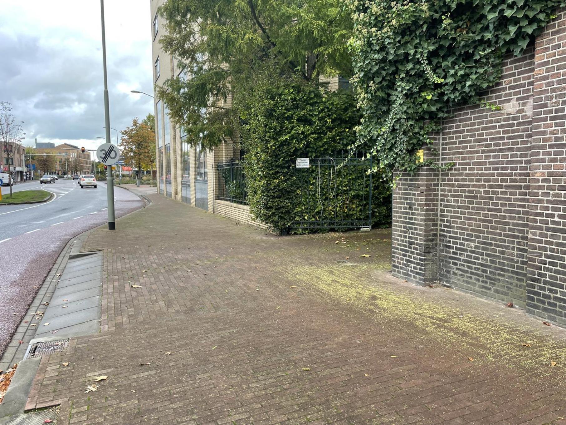 Suite With Wellness Nextdoor And Kitchen Access Oss Eksteriør bilde